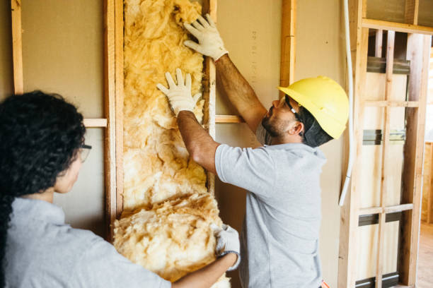 Best Blown-in Insulation  in Lolo, MT