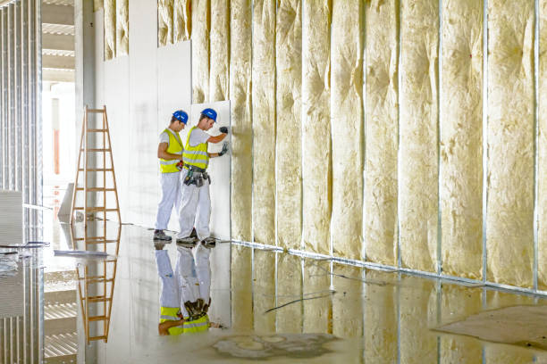 Best Insulation Removal  in Lolo, MT